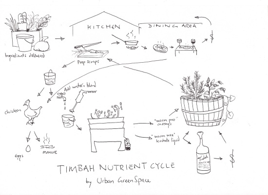 a diagram of the Timbah nutrient cycle