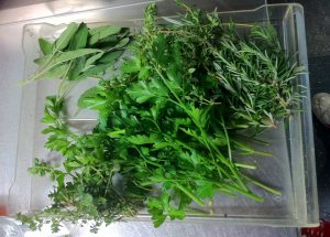 a harvest of fresh herbs from the rooftop garden
